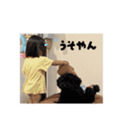 どちこwithイッヌ（個別スタンプ：13）