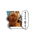 もじゃのアニメーションスタンプ（個別スタンプ：7）
