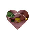 動くととちゃん（個別スタンプ：3）