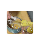 動くととちゃん（個別スタンプ：6）