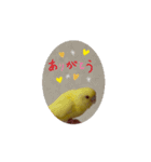 動くととちゃん（個別スタンプ：8）