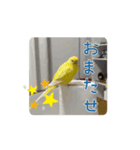 動くととちゃん（個別スタンプ：11）