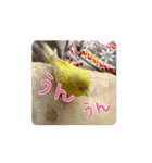 動くととちゃん（個別スタンプ：12）