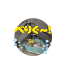 動くととちゃん（個別スタンプ：15）