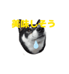 動く姫ちゃん夢ちゃん8（個別スタンプ：9）