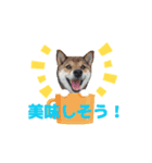 動く姫ちゃん夢ちゃん8（個別スタンプ：12）
