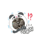 アタチのスタンプ！！黒猫ガルシア！（個別スタンプ：3）
