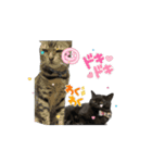 アタチのスタンプ！！黒猫ガルシア！（個別スタンプ：5）