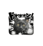 アタチのスタンプ！！黒猫ガルシア！（個別スタンプ：7）