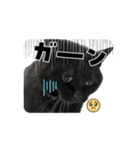 アタチのスタンプ！！黒猫ガルシア！（個別スタンプ：9）