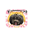アタチのスタンプ！！黒猫ガルシア！（個別スタンプ：10）