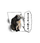 アタチのスタンプ！！黒猫ガルシア！（個別スタンプ：14）