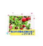 START UP！いつも頑張っている君へのエール（個別スタンプ：1）