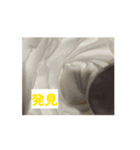 つちやさんがしゃぶ活中に使うスタンプ（個別スタンプ：13）