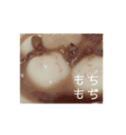 つちやさんがしゃぶ活中に使うスタンプ（個別スタンプ：14）