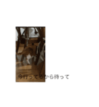 動く！毎日使えるスタンプ（個別スタンプ：2）