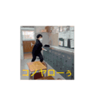 自己中団（個別スタンプ：7）