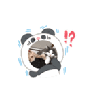 ニャンズ大好き（個別スタンプ：4）