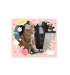 ニャンズ大好き（個別スタンプ：6）