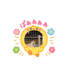 ルゥ君です！（個別スタンプ：5）