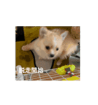 ルゥ君です！（個別スタンプ：7）
