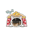 ルゥ君です！（個別スタンプ：12）