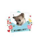 ルゥ君です！（個別スタンプ：13）