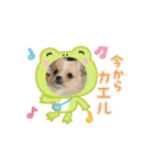 ルゥ君です！（個別スタンプ：14）