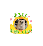 ルゥ君です！（個別スタンプ：16）