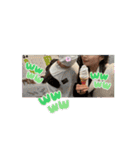 小島夫婦3（個別スタンプ：10）