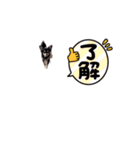 黒チワワの可愛い日常(シンプル)（個別スタンプ：5）