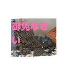 ToMoKo_20250421093010（個別スタンプ：6）