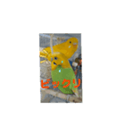 ToMoKo_20250421093010（個別スタンプ：8）