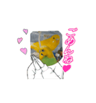 ToMoKo_20250421093010（個別スタンプ：12）