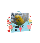 ToMoKo_20250421093010（個別スタンプ：14）