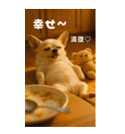 チワワのくーちゃんBIGスタンプ（個別スタンプ：11）