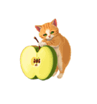 新鮮な果物と野菜と猫（個別スタンプ：1）