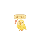 ちーちちゃんずver2（個別スタンプ：36）