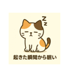「真面目系ミケネコのママ応援スタンプ」（個別スタンプ：10）
