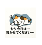 「真面目系ミケネコのママ応援スタンプ」（個別スタンプ：11）