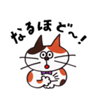 はたらくネコの日常【敬語】（個別スタンプ：8）
