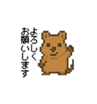 しあわせ！クアッカワラビーのスタンプ（個別スタンプ：1）