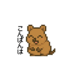 しあわせ！クアッカワラビーのスタンプ（個別スタンプ：3）