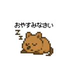 しあわせ！クアッカワラビーのスタンプ（個別スタンプ：4）