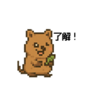 しあわせ！クアッカワラビーのスタンプ（個別スタンプ：8）