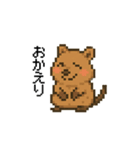 しあわせ！クアッカワラビーのスタンプ（個別スタンプ：9）