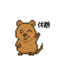 しあわせ！クアッカワラビーのスタンプ（個別スタンプ：11）