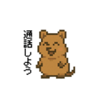 しあわせ！クアッカワラビーのスタンプ（個別スタンプ：12）
