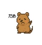 しあわせ！クアッカワラビーのスタンプ（個別スタンプ：13）