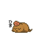 しあわせ！クアッカワラビーのスタンプ（個別スタンプ：19）